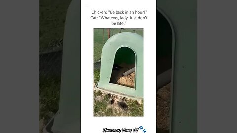 This Pet Just Started a Comedy Show!