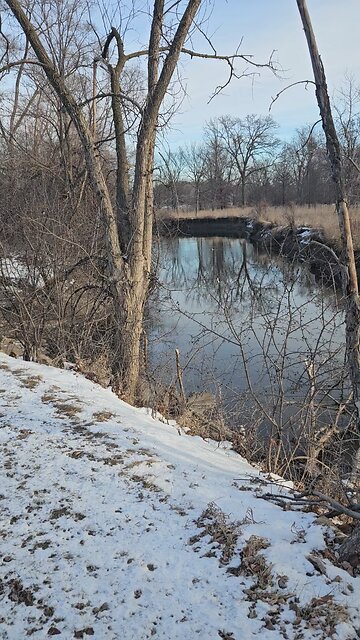 A Couple of Ducks on a Quiet Morning on Salt Creek