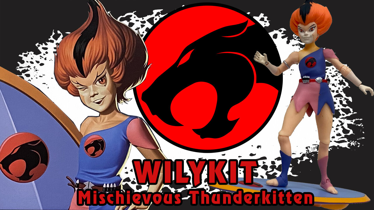 Wilykit - Thundercats Ultimates - Unboxing, Breaking & Review