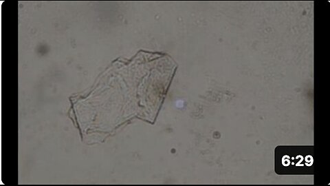 Discovery of Graphene Nanosheets in Rainwater