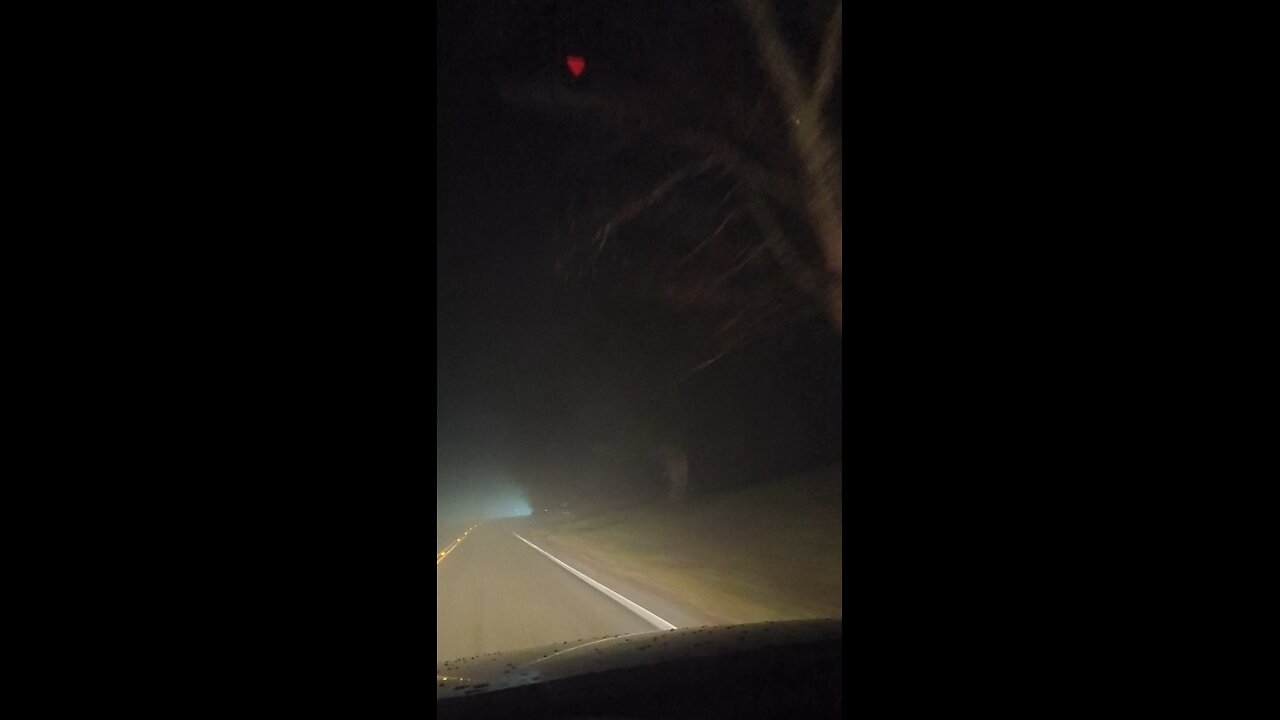 foggy night driving