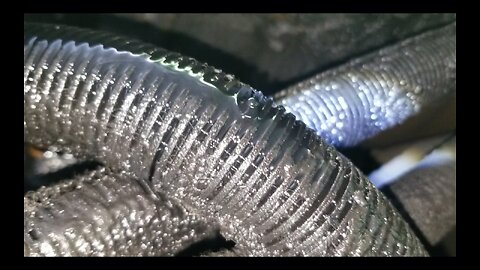 OIL LEAK DISCOVERY on Jesse's Winnebago 3126B Aug 18 2025