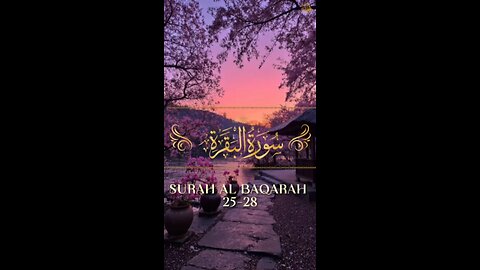 Surah al Baqarah ✨📖 | 25-28 | quran recitation with translation 🎊