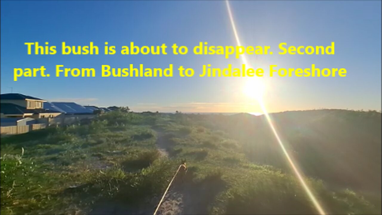 This bush is about to disappear. Second part. From Bushland to Jindalee Foreshore