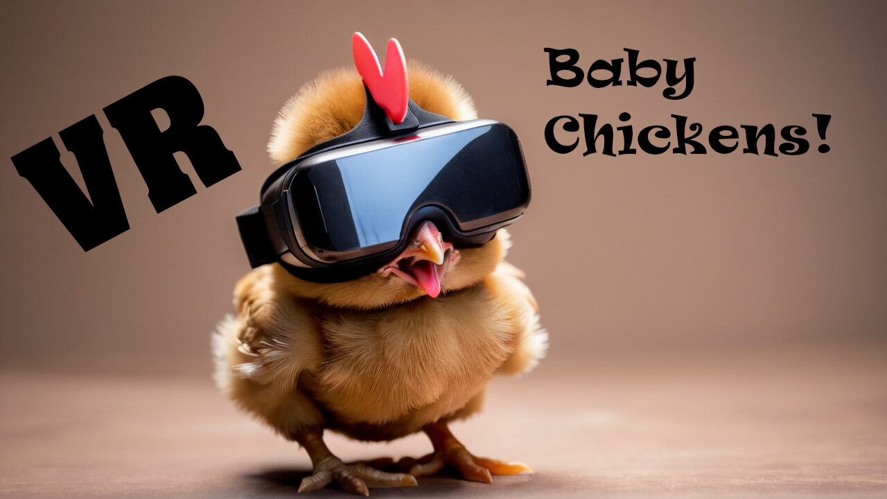 Be a baby chicken for a few minutes