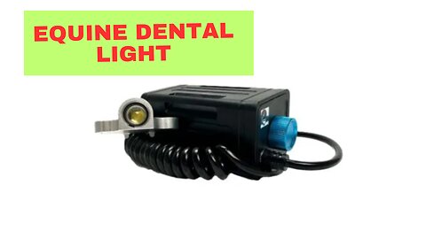 Equine Dental Light – Key Features and Benefits