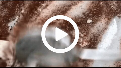 The Hidden Blood-Sugar Effect of a Spice You Probably Use Daily