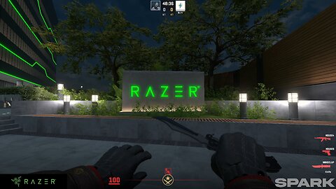Razer cs2 workshop