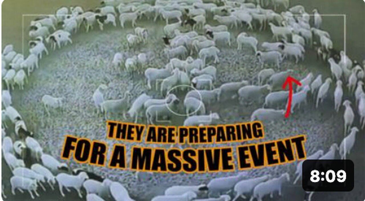 "Massive Event Preparation Underway!"