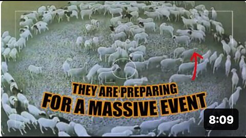 "Massive Event Preparation Underway!"