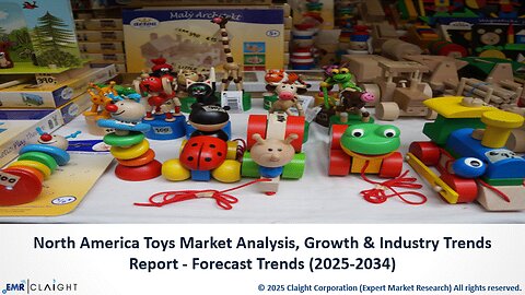 North America Toys Market Share, Size & Growth Report (2025-2034)