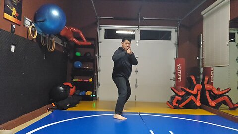 WTD Lotus Kick to Side Kick sequential