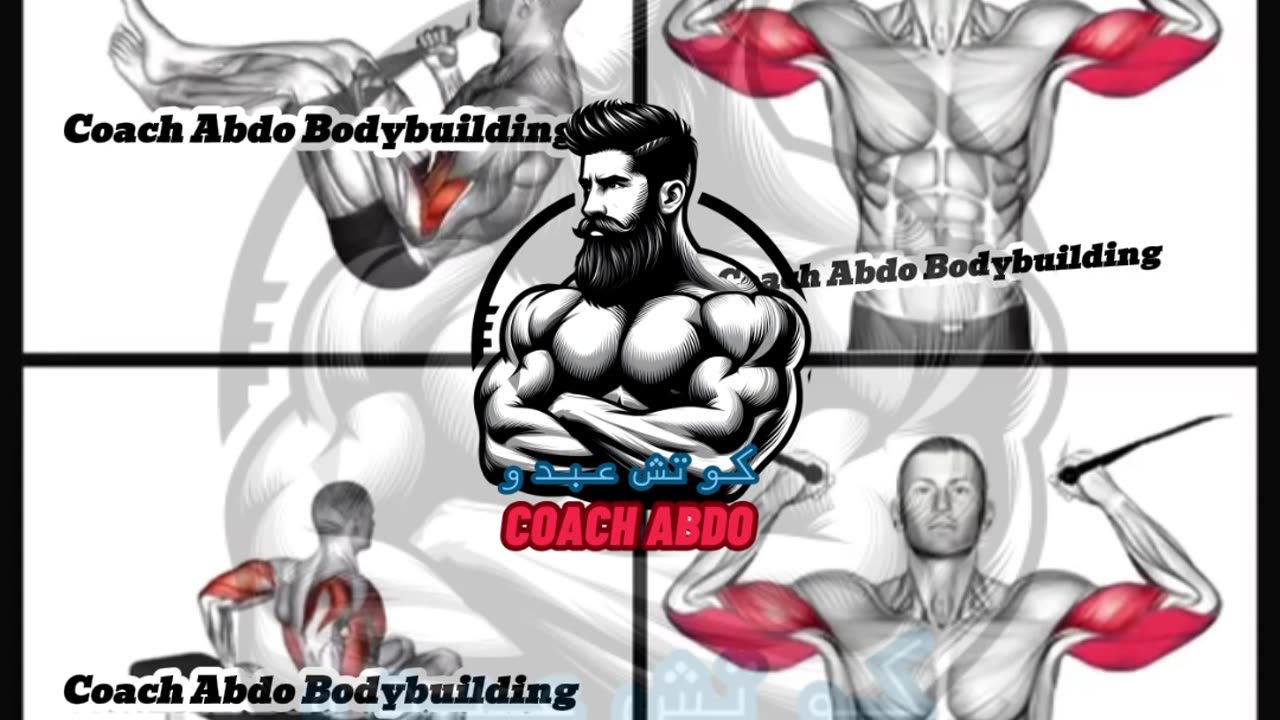 💪 Bodyweight Arm Gains | تمرين الذراع بدون معدات!