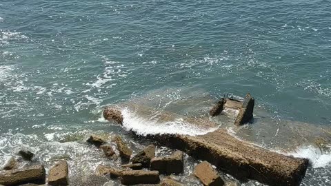 Nature Fantastically Peaceful at Sunset Cliffs San Diego #beach #sunny #views #chill July 2025