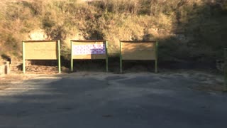 Budget AR 15 accuracy testing 55 grain ammo