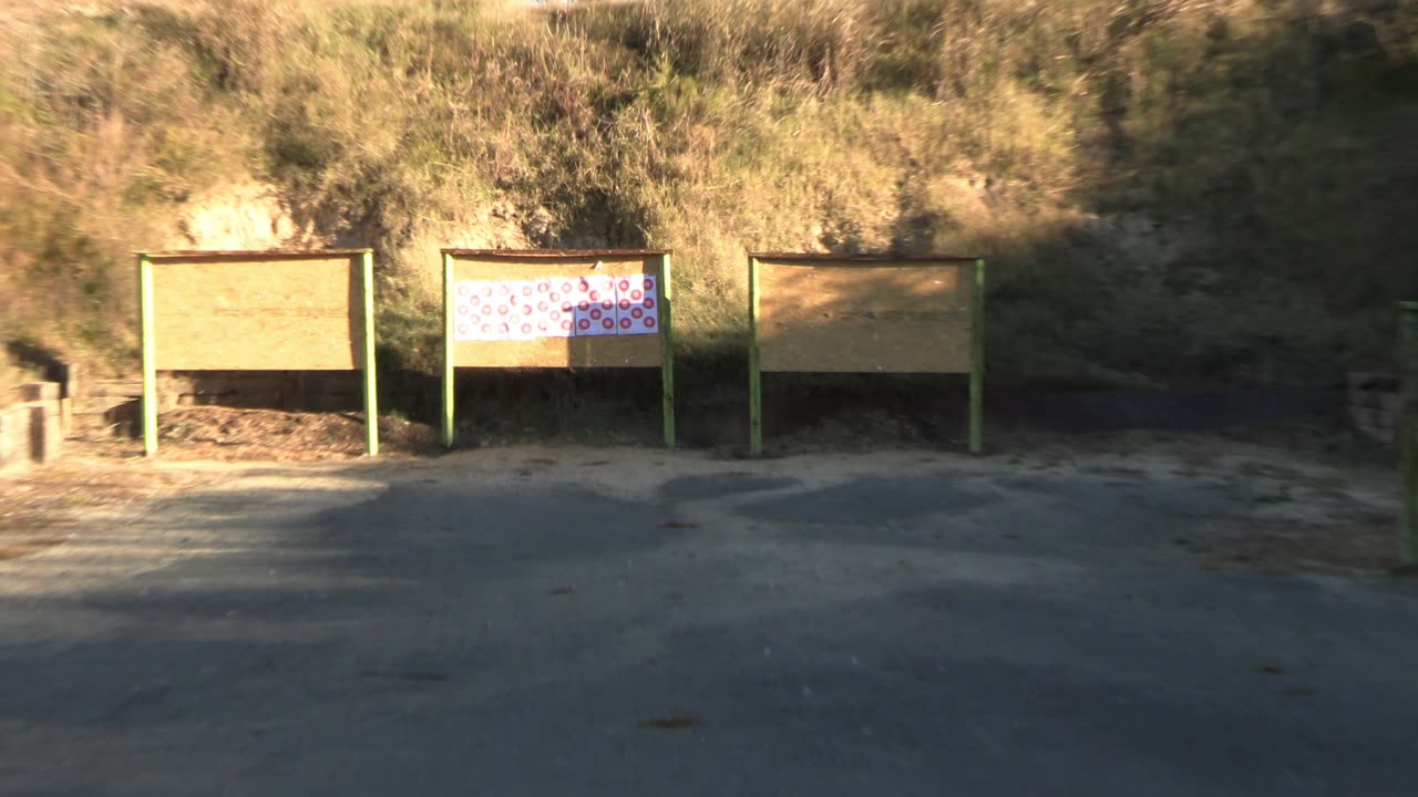 Budget AR 15 accuracy testing 55 grain ammo