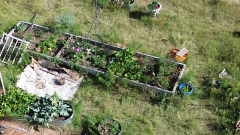 Allyson's Garden