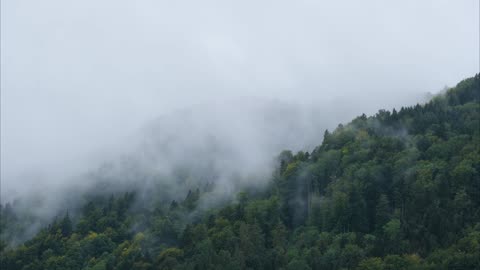 "Quality is never an accident; it is always the result of intelligent effort."