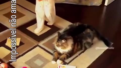 😍🐕 They Are Four-Legged Nannies and They're Too Cute to Handle! | FunFM