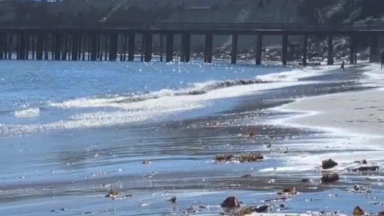 Grounded Beach Walk