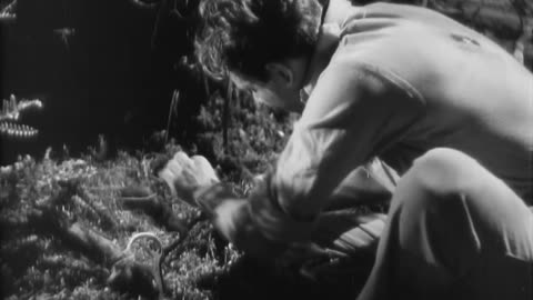 The Most Dangerous Game (1932) Full movie | Horror