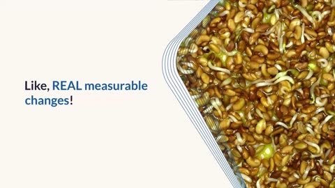 Uncover the Link Between Gut Health and Anxiety - Doctors Shocked by New Findings