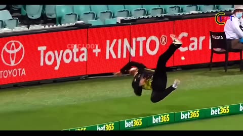 Cricket Injuries