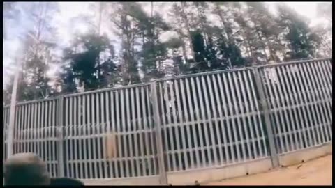 To jest straszne co musi przechodzić polski Żołnierz na granicy z Białorusią.
