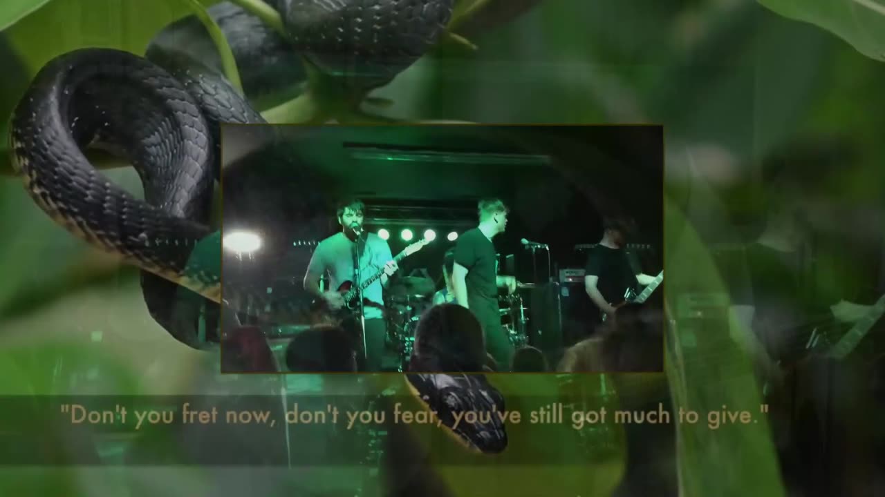 W. A. T. G. ~ The Bird and the Snake { Live + Lyrics + Covers } Remix 1 Christcore Slowed PC