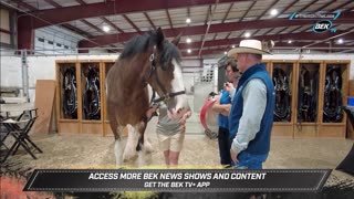 Trent Loos in the Morning - 8/27/2025