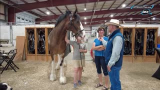 Trent Loos in the Morning - 8/27/2025