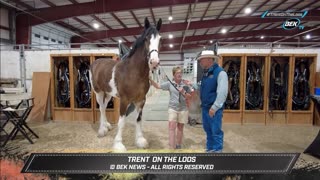 Trent Loos in the Morning - 8/27/2025