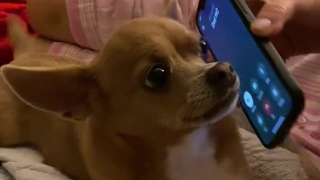 WHEN YOU ARE TALKING😘 TO YOUR GRANDPA THAT LIVES FAR AWAY