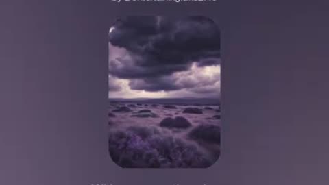 The Warlock's Pact