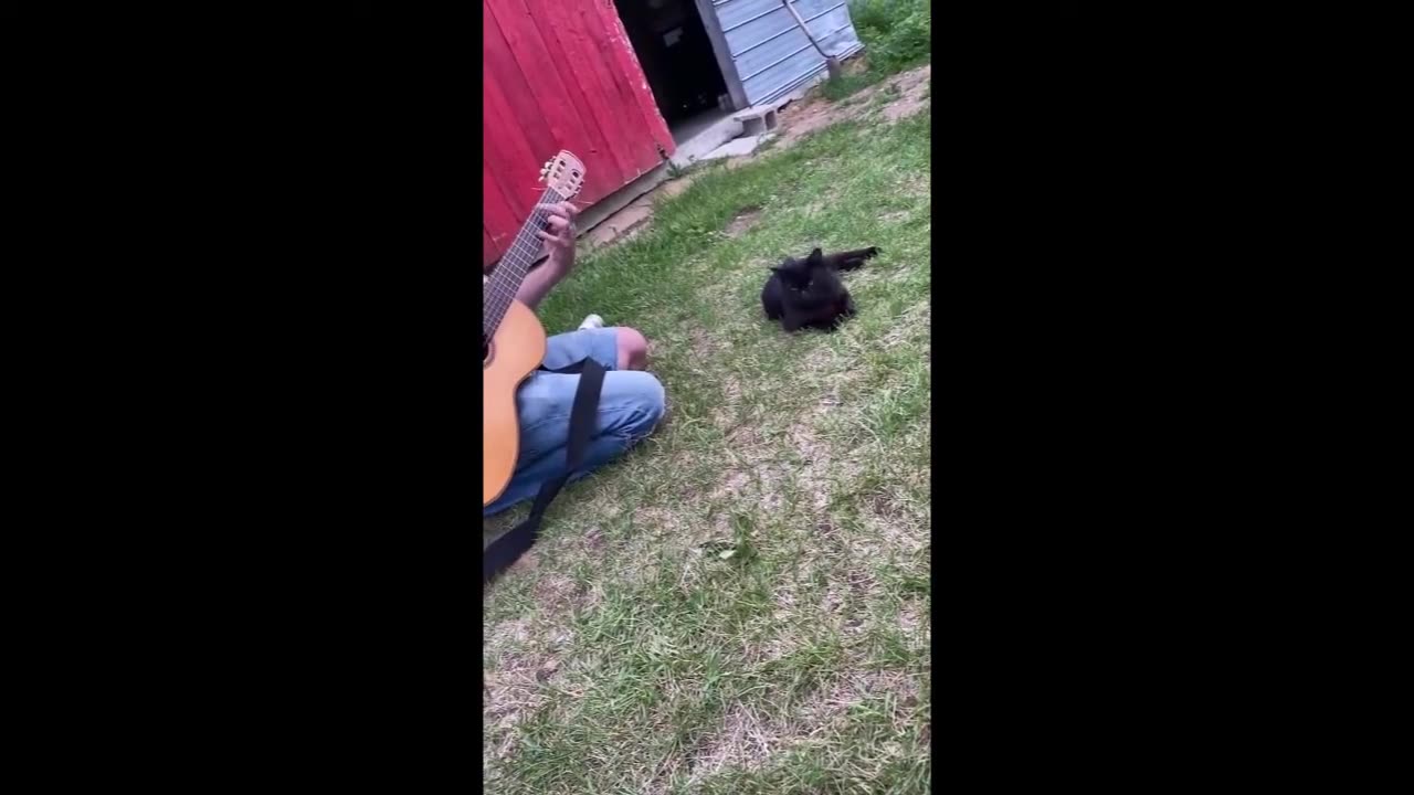 Timinou le mélomane