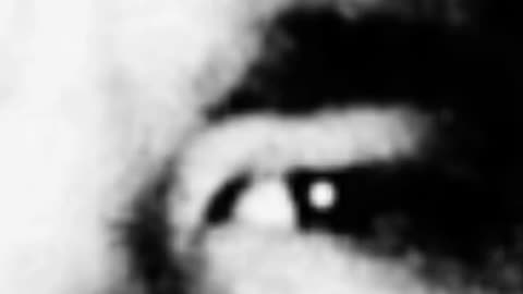 WHO MURDERED JARED NEGRETE
