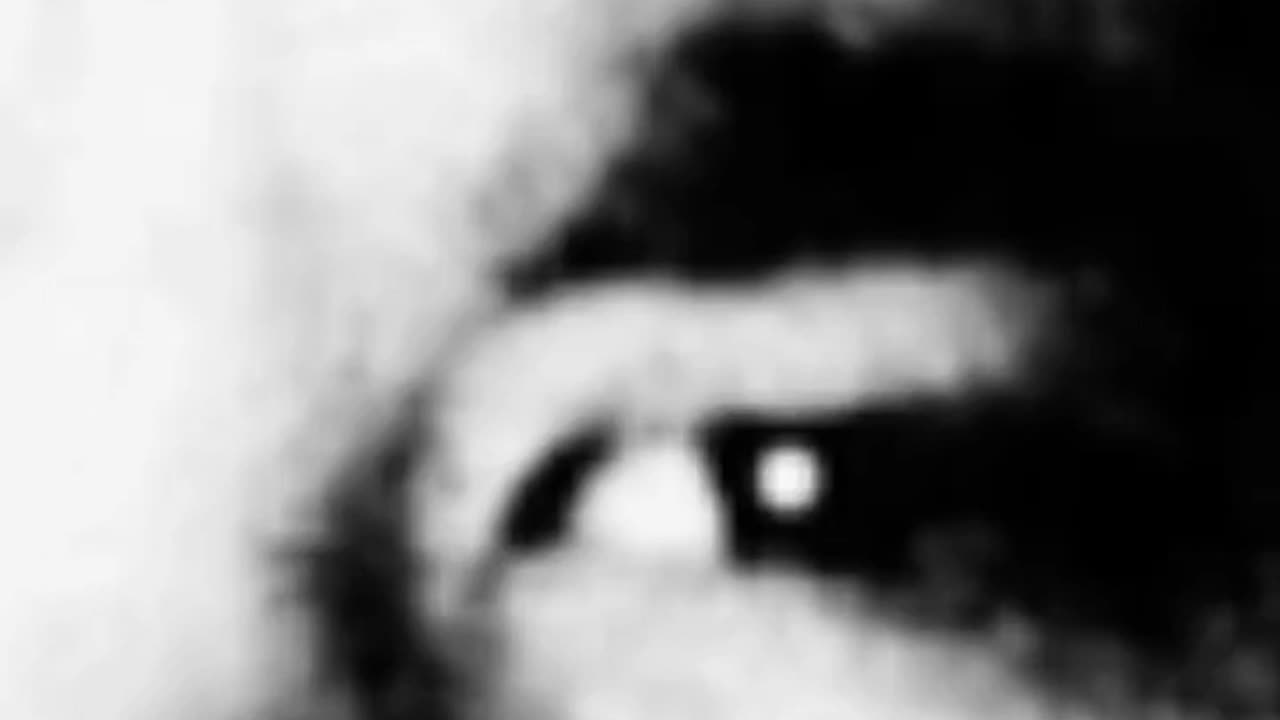 WHO MURDERED JARED NEGRETE