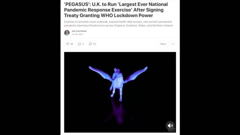 They are planning another hoax.