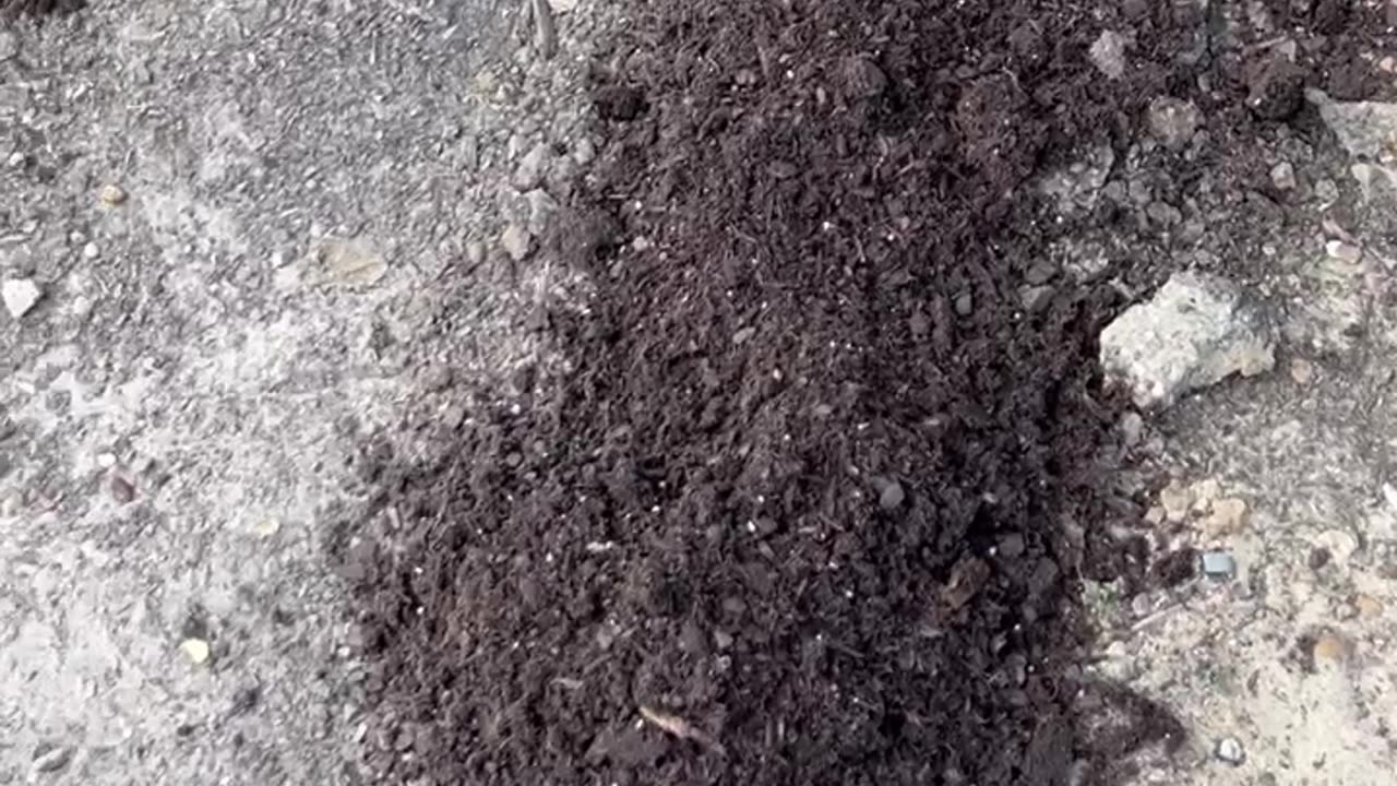 Garden 2025 Planted