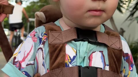 Toddler Explores Confidently with Monkey Backpack Safety Harness