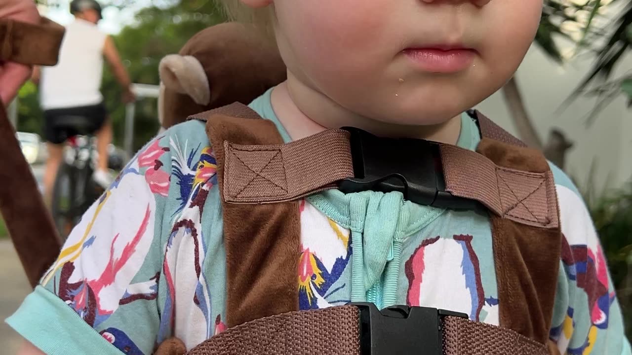 Toddler Explores Confidently with Monkey Backpack Safety Harness