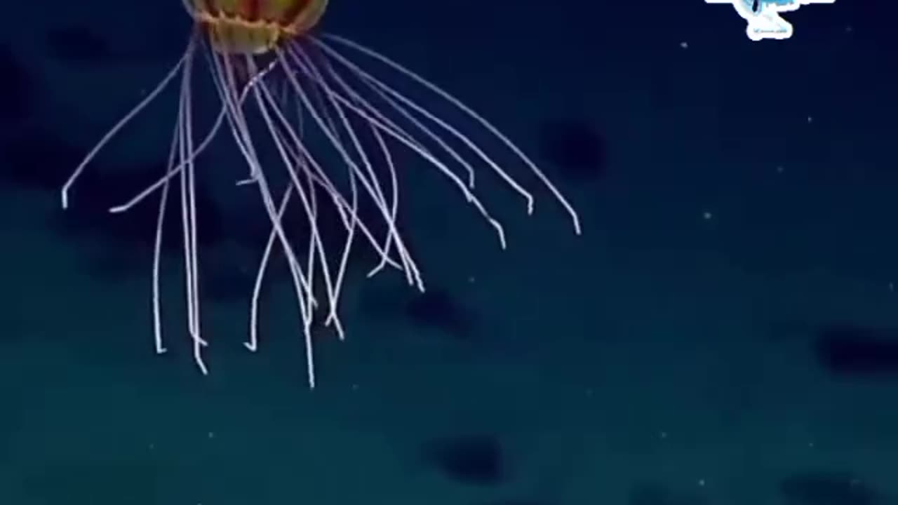 wonders of the world