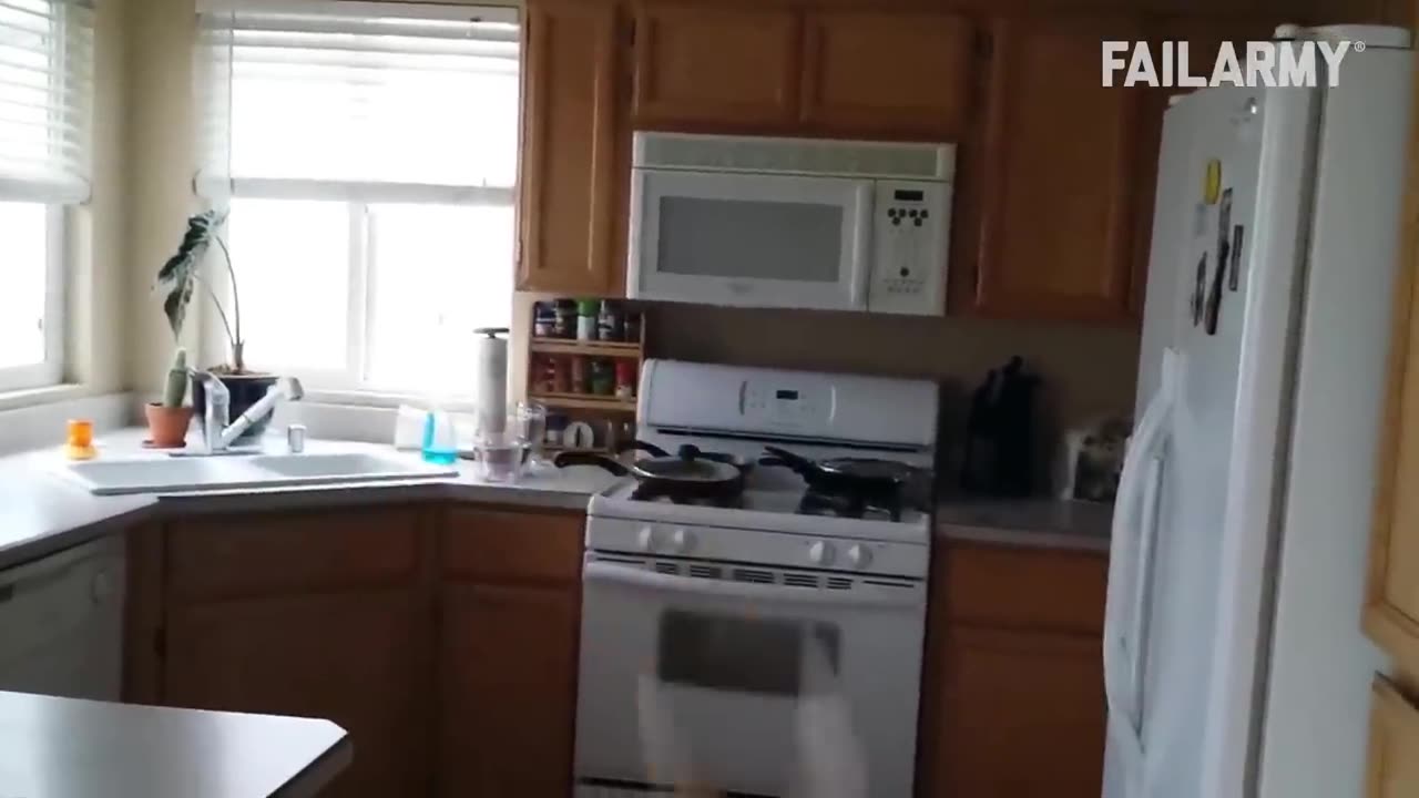 Funny Cat Fails _ Funny Cat Compilation 2025