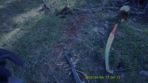 ANCORA MOLTISSIMA LEGNA DAL BOSCO (4 APRILE 2023) [II° PARTE]