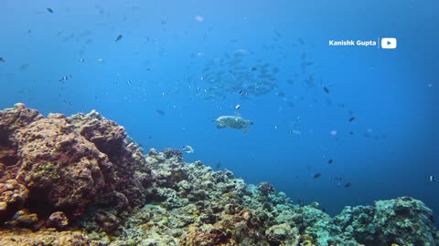 Most Beautiful Islands of India- Lakshadweep - Agatti, Bangaram and Kavaratti Island