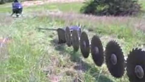 Trimming Trees From the Sky
