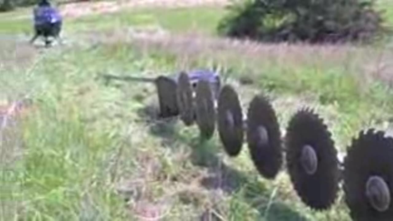 Trimming Trees From the Sky