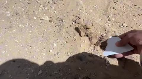 PALESTINE
