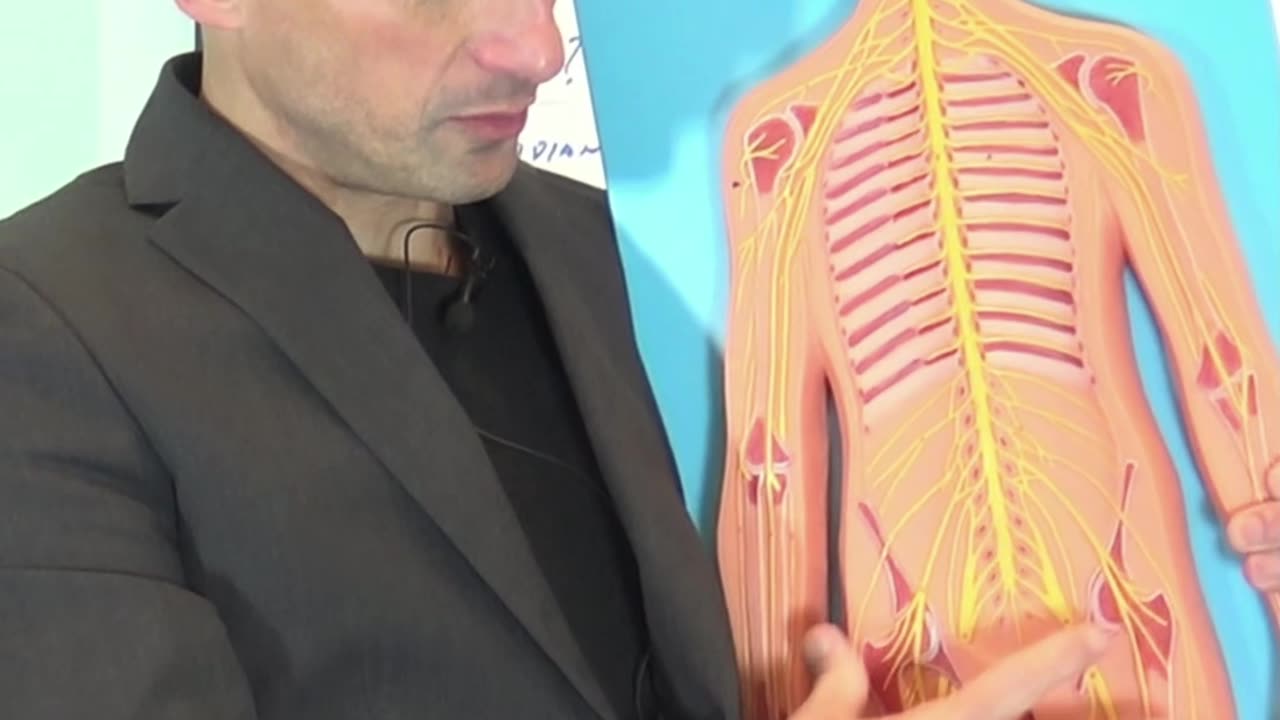 Dolore a Collo, Spalla e Braccio: le Cause Quarta Parte
