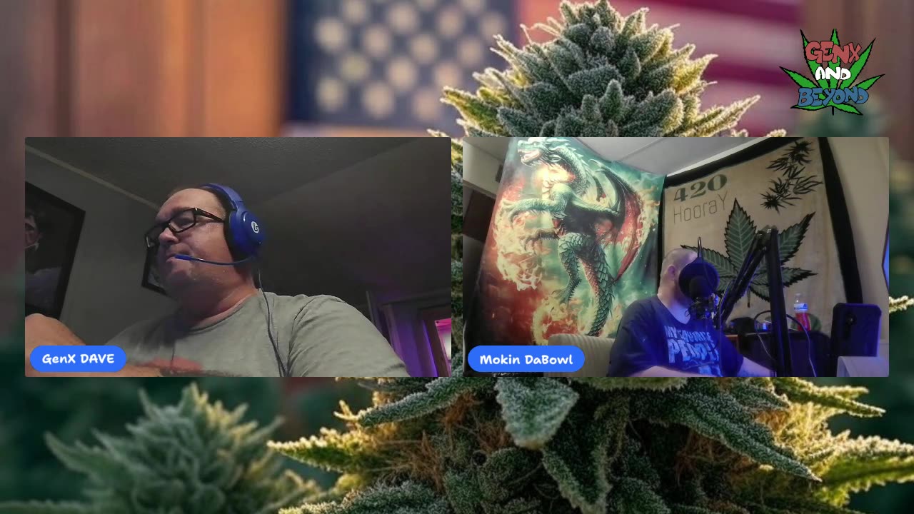 Happy 420 music review Tom MacDonald